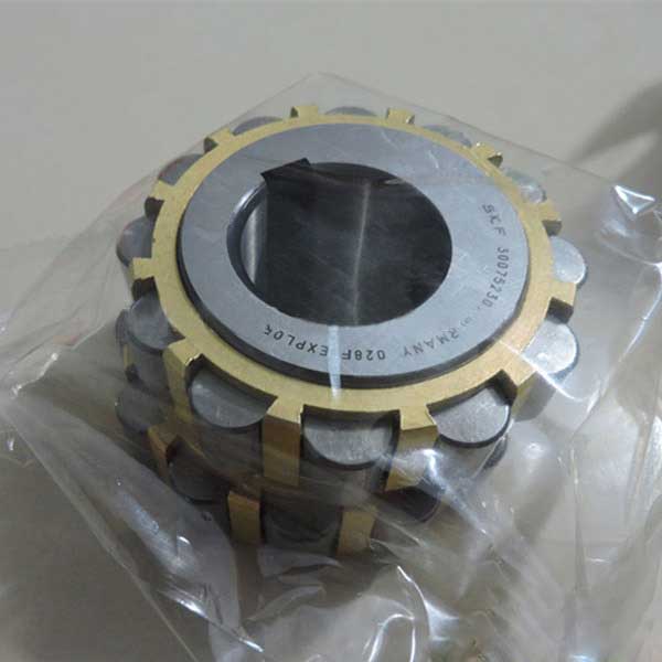 Cylindrical Roller Bearing 300752307 Цилиндрический роликовый подшипник 300752307