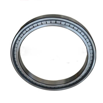 цилиндрический роликовый подшипник SL07080C5S1B