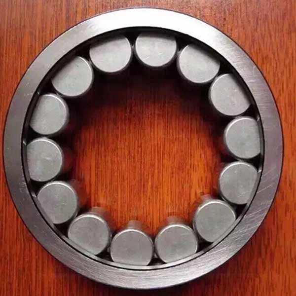 Подшипник гидравлического насоса F202578